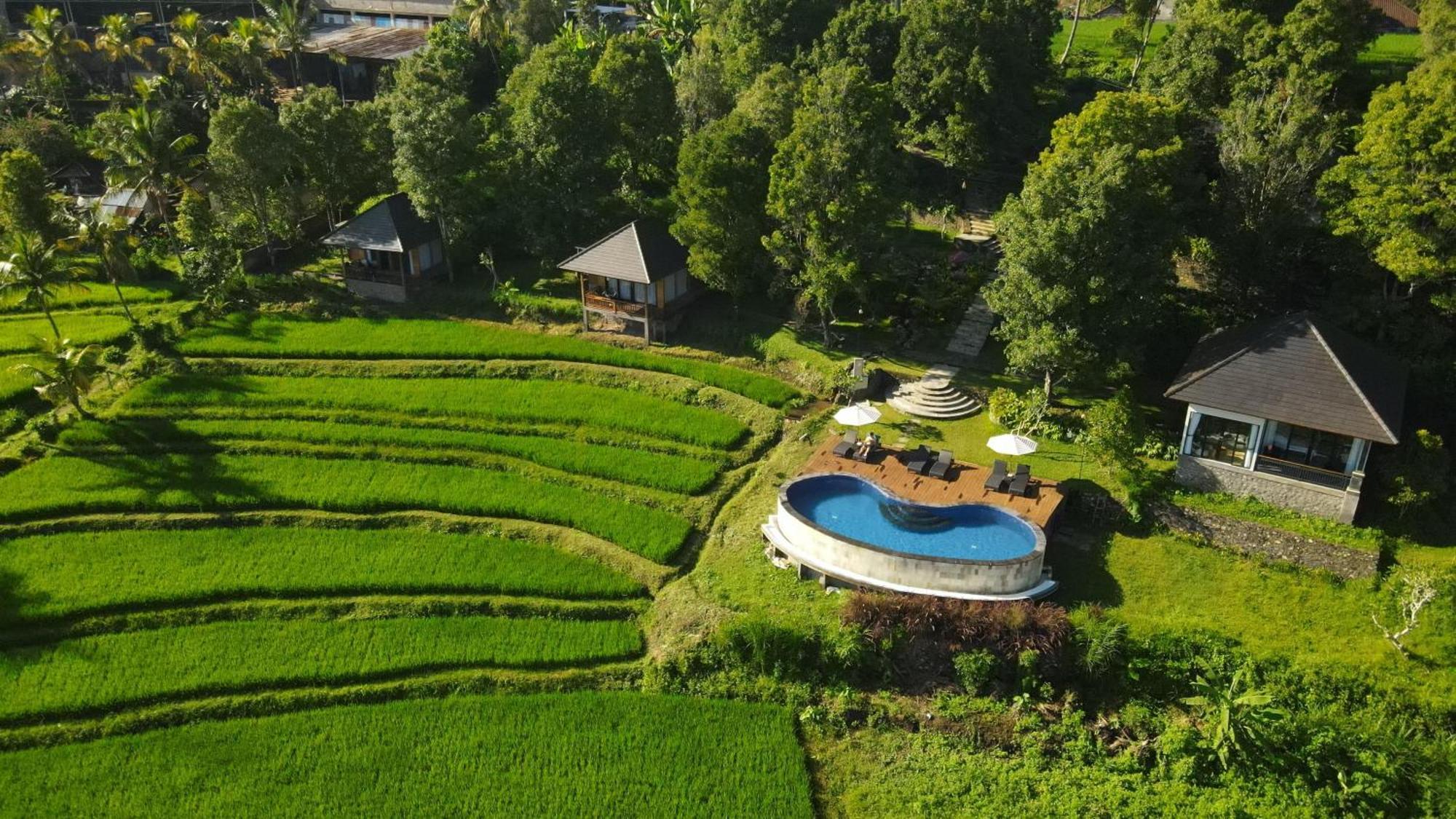 Mayura Bali Villa Munduk Exterior foto