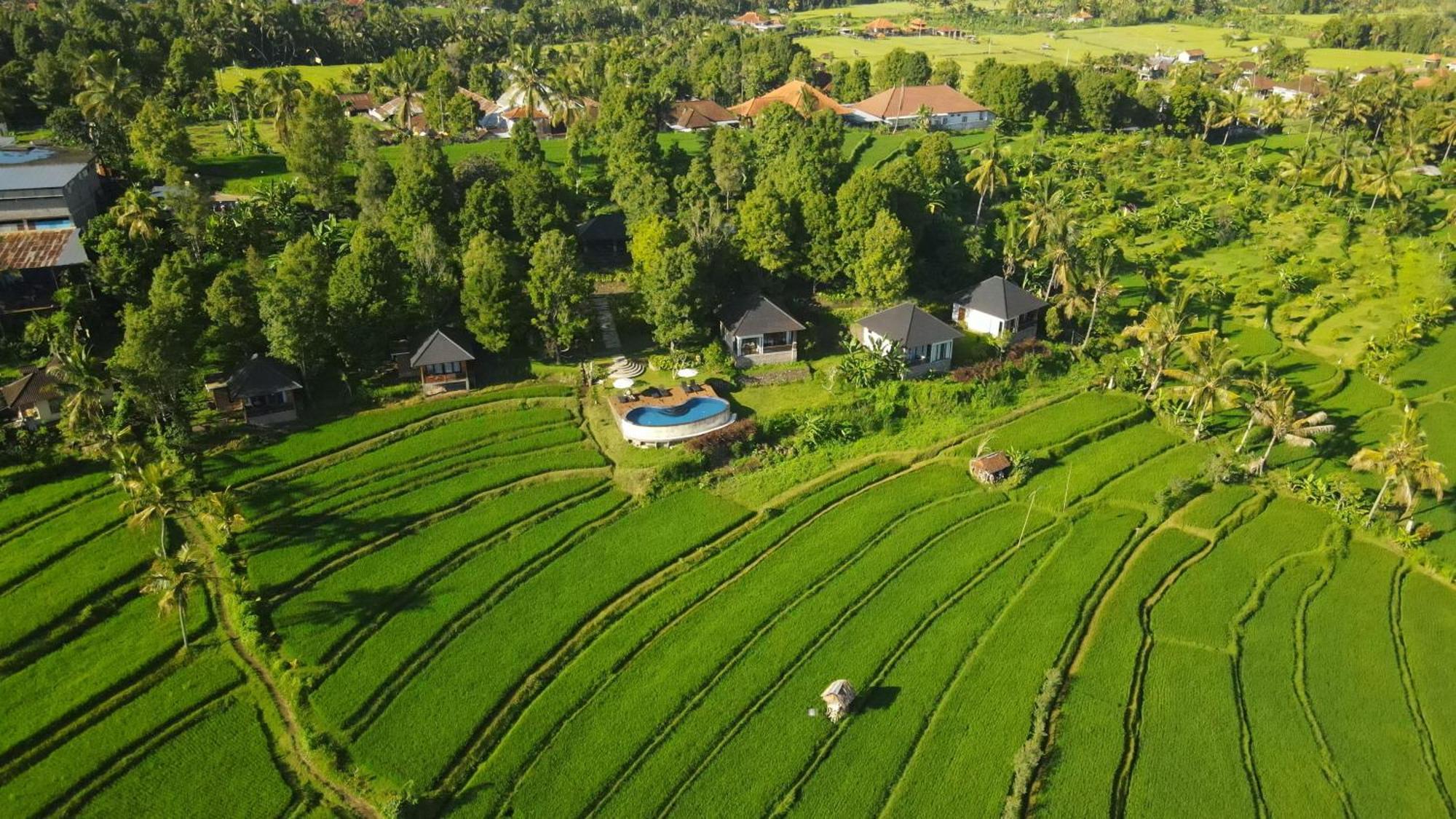 Mayura Bali Villa Munduk Exterior foto